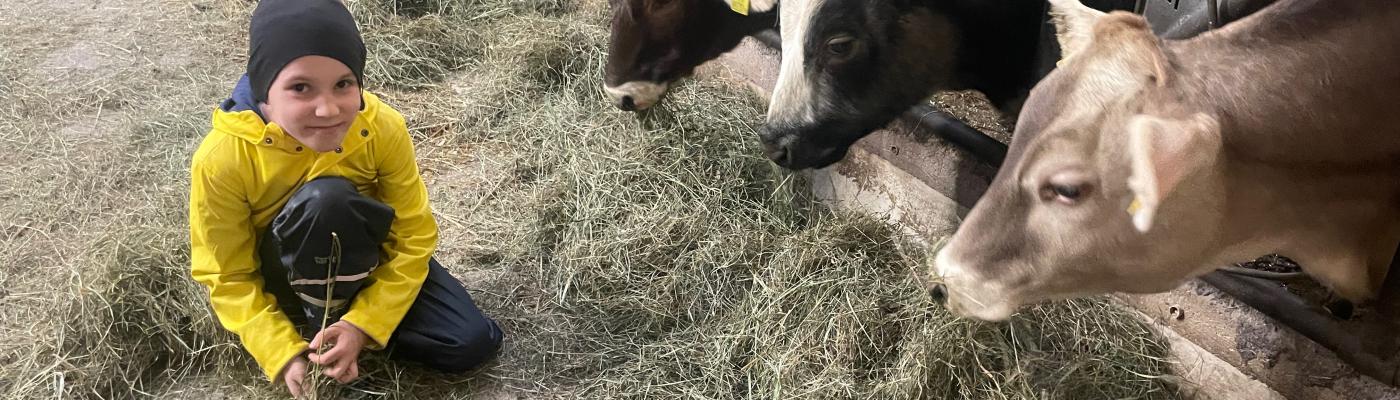 Besuch am Bauernhof  - Nachmittagsbetreuung