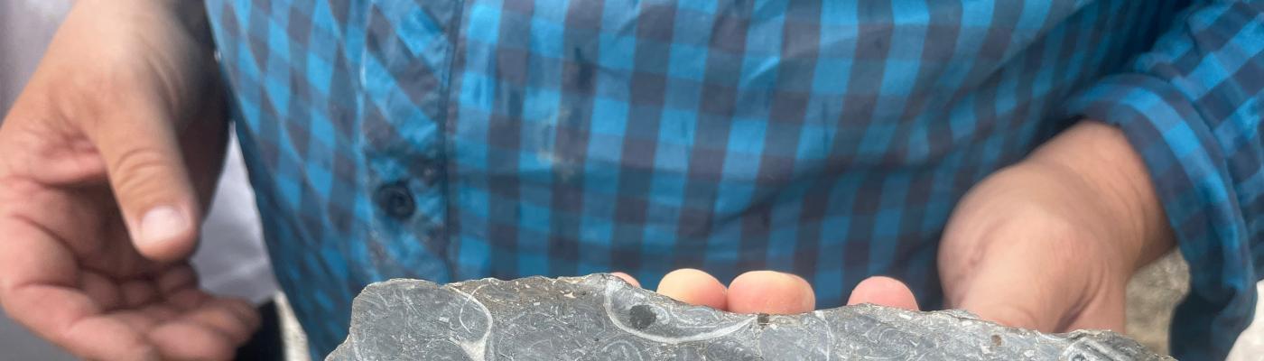Fossiliensuche