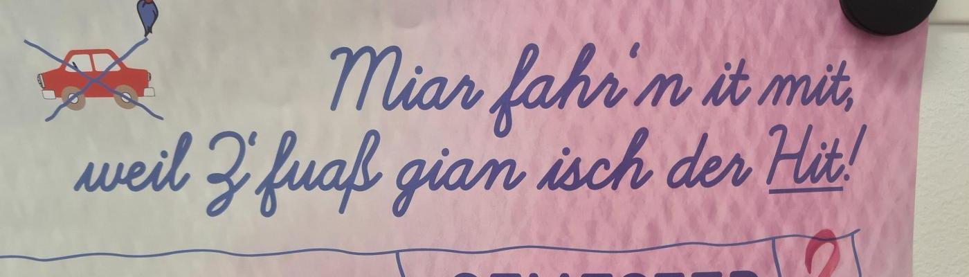 zu fuss in die schule