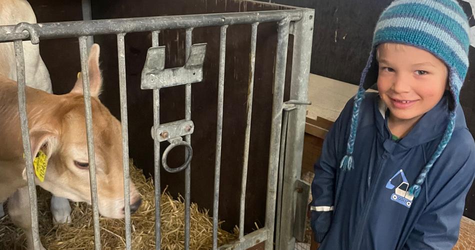 Besuch am Bauernhof  - Nachmittagsbetreuung