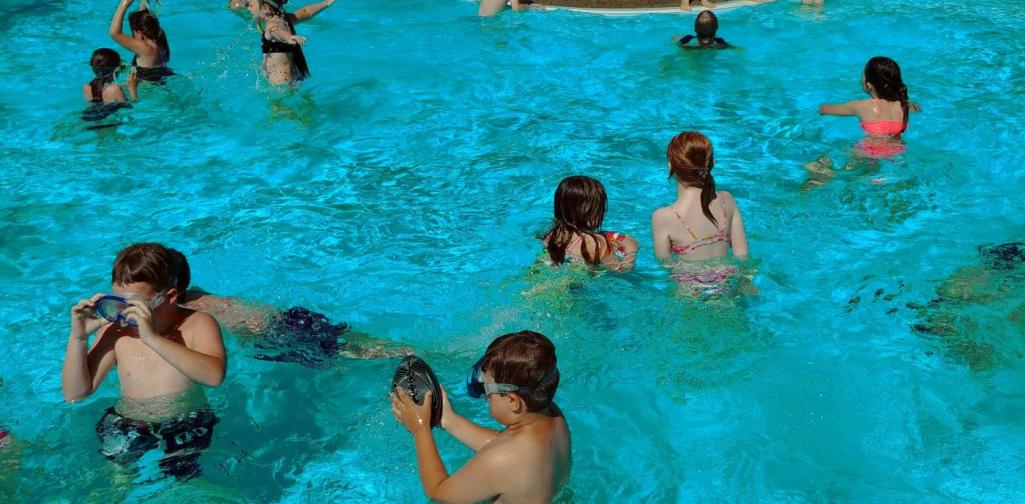 2019_06_15_Schwimmunterricht im Waldschwimmbad 2019_06_15_Schwimmunterricht im Waldschwimmbad